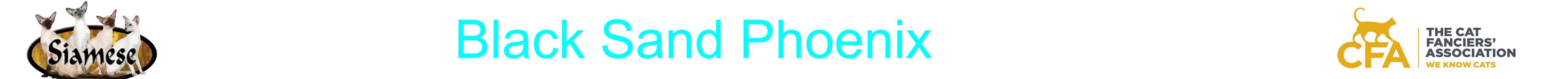 blksand home banner transparent