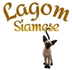 Lagom SharonEngle